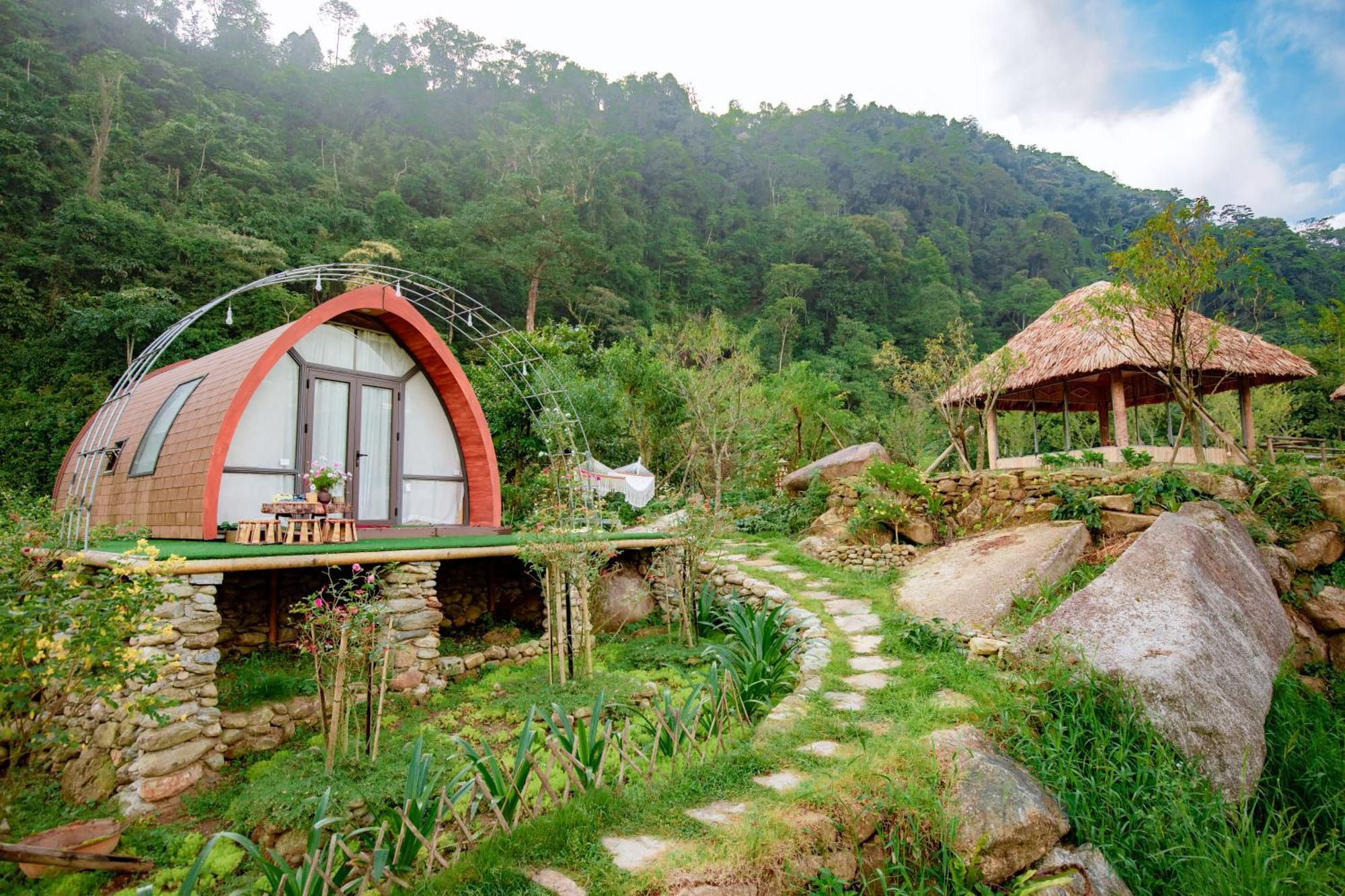 Ngu Chi Son Trekking Sapa Homestay Local Experience Eksteriør billede